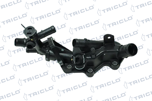 465976 Triclo