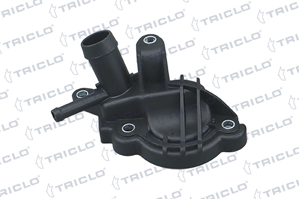 462457 Triclo