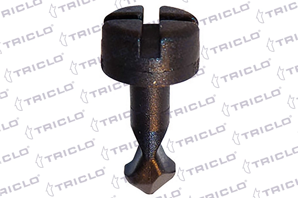 164083 Triclo