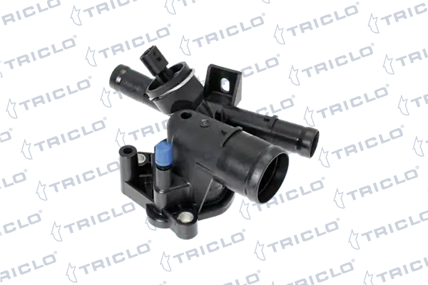 465838 Triclo