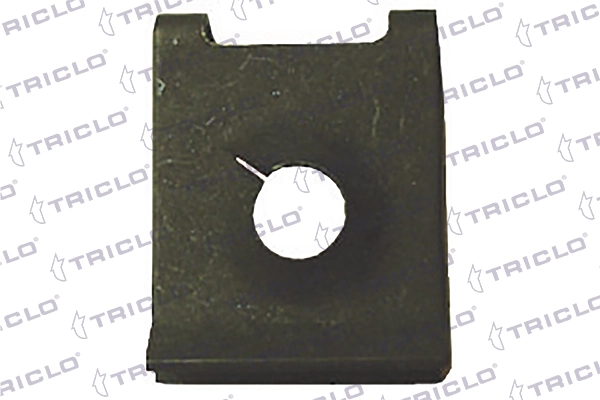 161737 Triclo