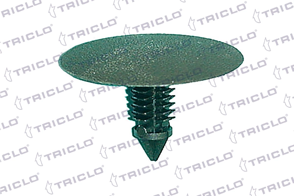 163007 Triclo