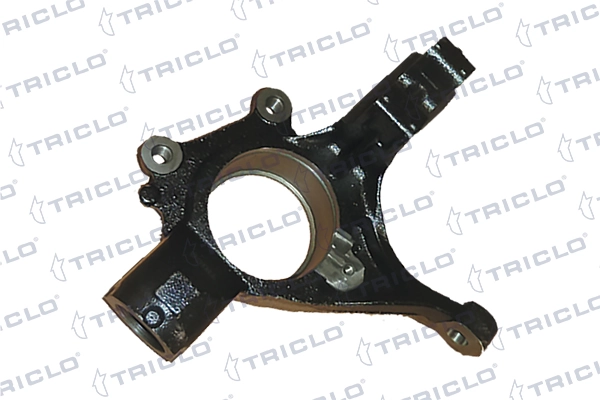 761858 Triclo