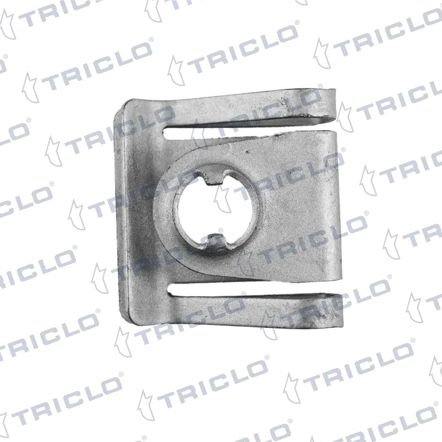 161709 Triclo