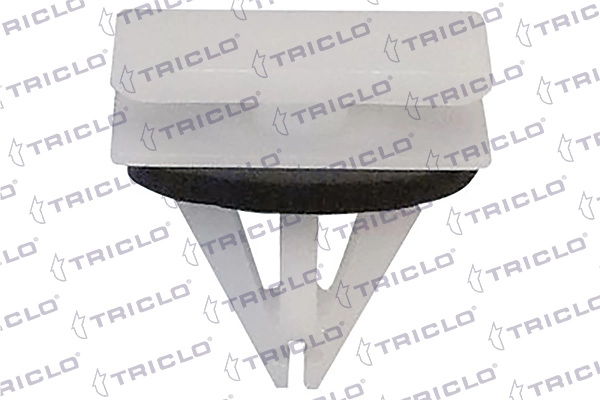 164803 Triclo