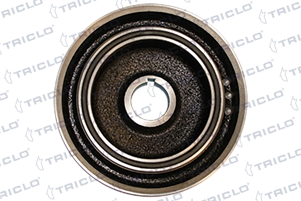 Polea dámper Peugeot 406 