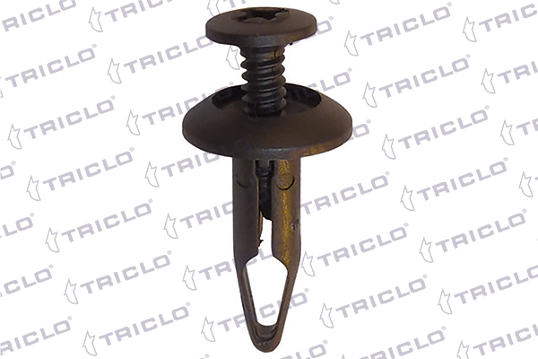 163810 Triclo