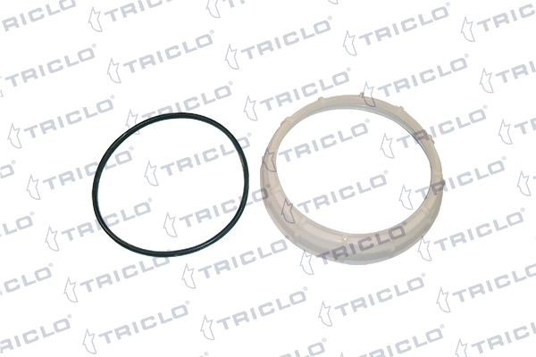 314562 Triclo