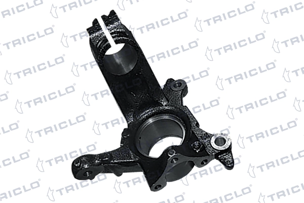 761853 Triclo