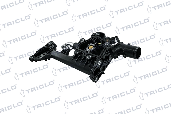 464096 Triclo Caja del termostato
