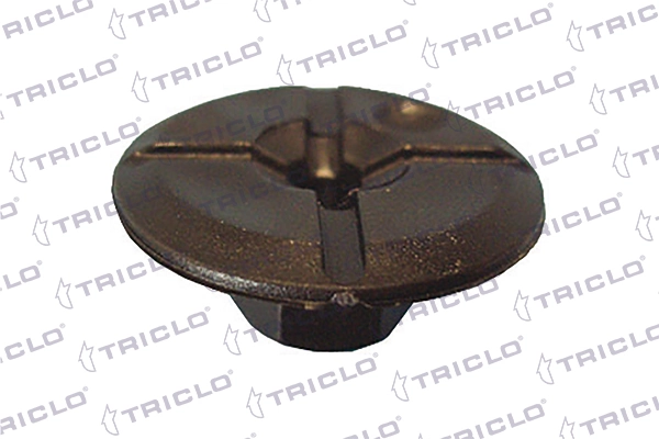 163287 Triclo