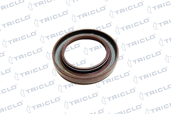 671912 Triclo