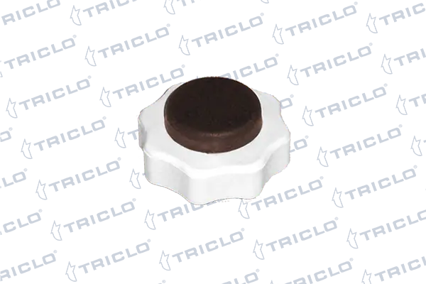 311351 Triclo