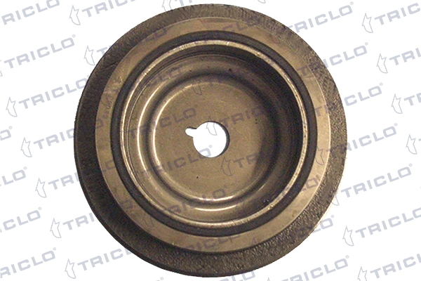 Comprar Polea de cigüeñal Renault Twingo I C06