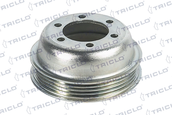421281 Triclo