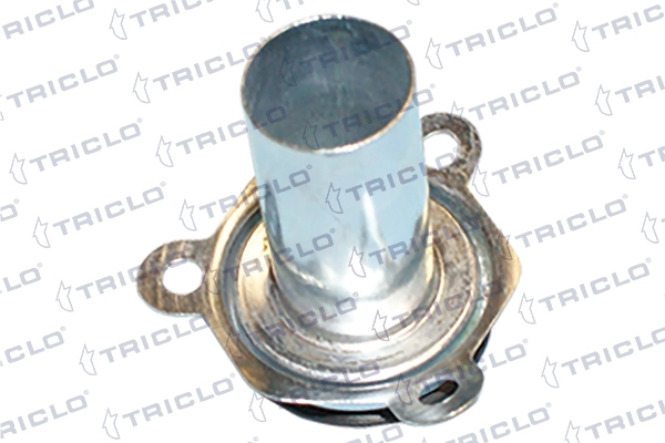 621670 Triclo