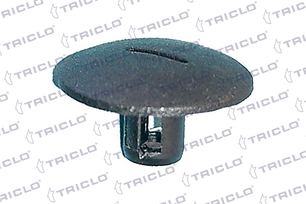 162941 Triclo