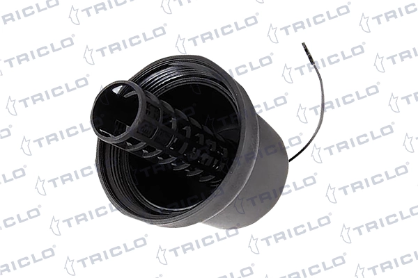 312469 Triclo