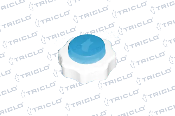 Tapon liquido refrigerante Renault 21 desde 3,77 €