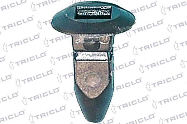 162836 Triclo