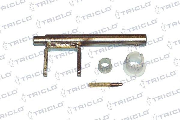 622082 Triclo