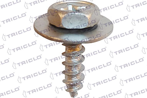 161835 Triclo
