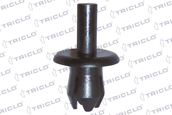 162373 Triclo