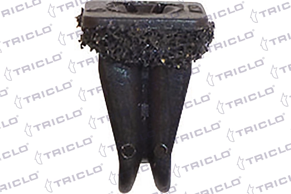 164120 Triclo