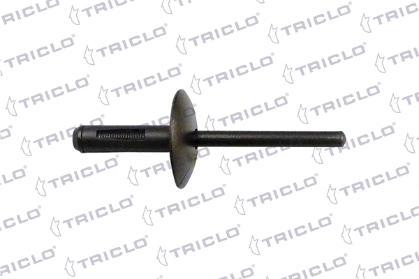 164637 Triclo