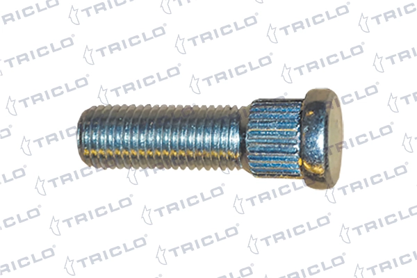 338629 Triclo