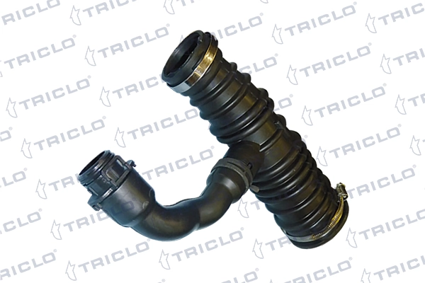 528991 Triclo