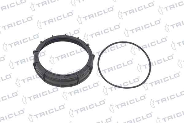 310169 Triclo