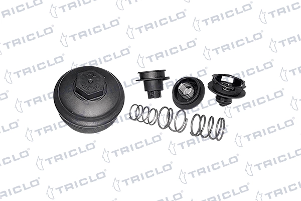 312145 Triclo