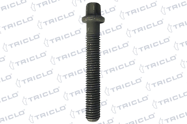 332683 Triclo
