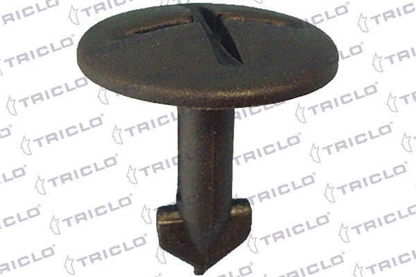 163319 Triclo