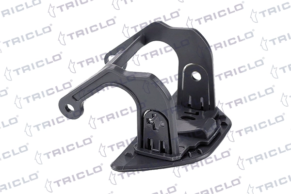 190210 Triclo