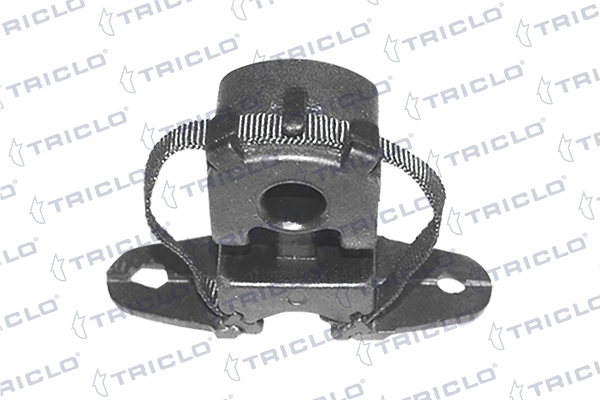 351473 Triclo