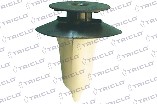 163013 Triclo