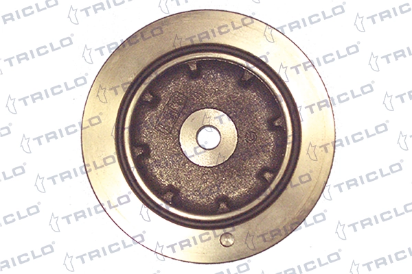 Comprar Polea de cigüeñal Renault 21  S48