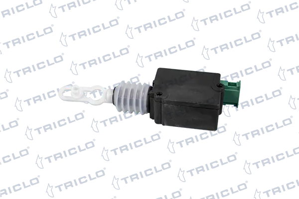 133429 Triclo