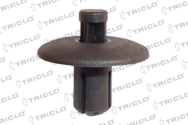 163743 Triclo