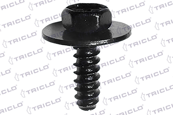 161848 Triclo