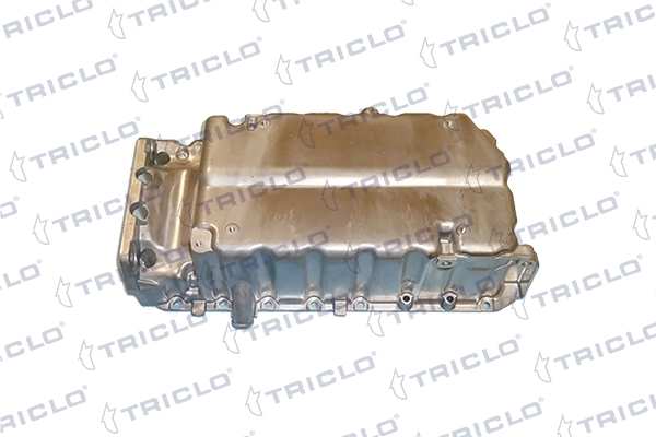 401684 Triclo