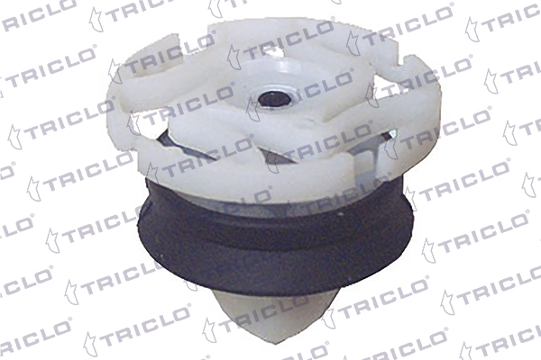 163669 Triclo