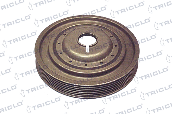 Polea del cigüeñal Renault Clio II desde 57,40 €