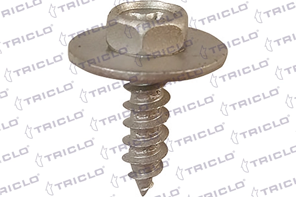 161827 Triclo