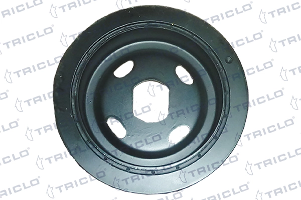 Comprar 95517850 General Motors La polea del cigüeñal