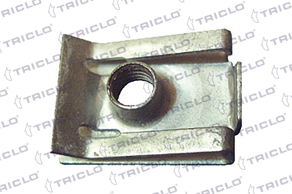 162444 Triclo