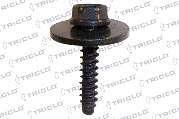 161852 Triclo