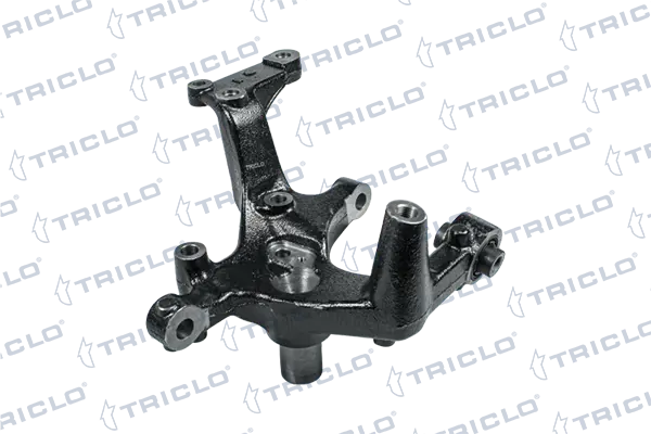 762245 Triclo